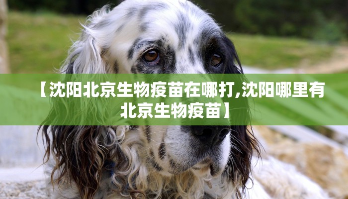 【沈阳北京生物疫苗在哪打,沈阳哪里有北京生物疫苗】