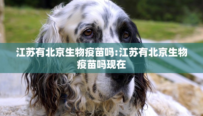 江苏有北京生物疫苗吗:江苏有北京生物疫苗吗现在