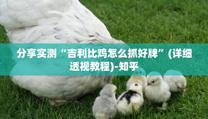 分享实测“吉利比鸡怎么抓好牌”(详细透视教程)-知乎