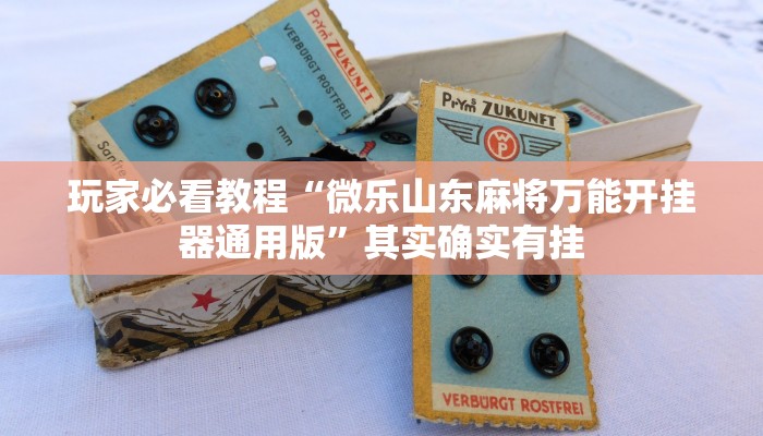 玩家必看教程“微乐山东麻将万能开挂器通用版”其实确实有挂