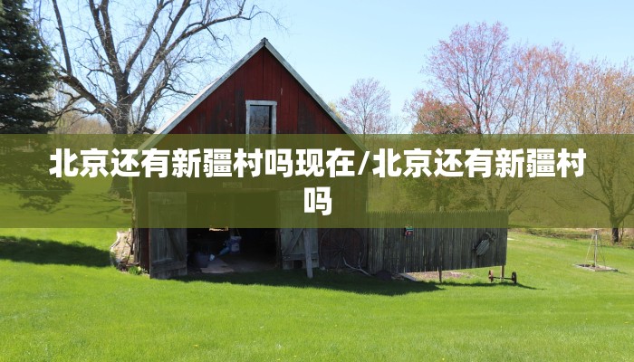北京还有新疆村吗现在/北京还有新疆村吗