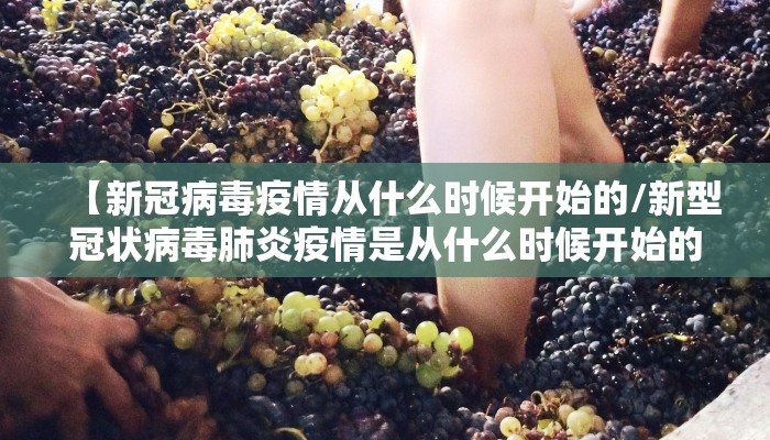 【新冠病毒疫情从什么时候开始的/新型冠状病毒肺炎疫情是从什么时候开始的】