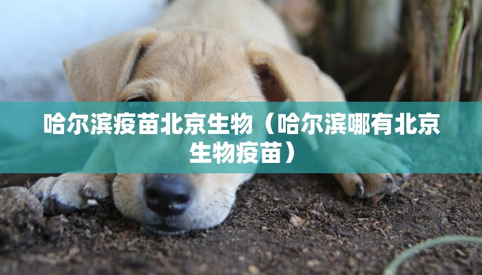 哈尔滨疫苗北京生物（哈尔滨哪有北京生物疫苗）