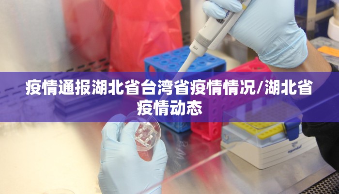 疫情通报湖北省台湾省疫情情况/湖北省疫情动态