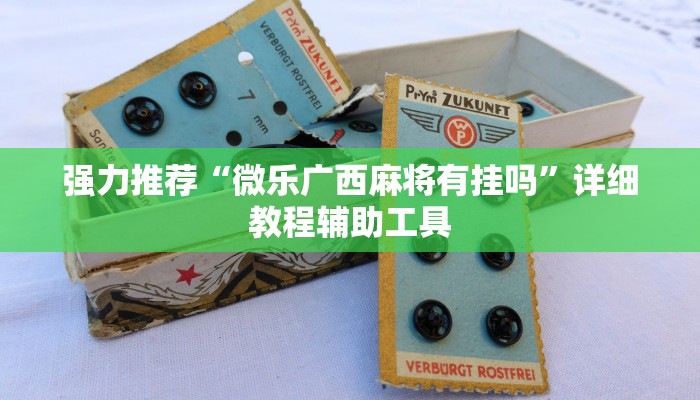 强力推荐“微乐广西麻将有挂吗”详细教程辅助工具
