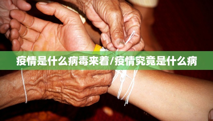 疫情是什么病毒来着/疫情究竟是什么病