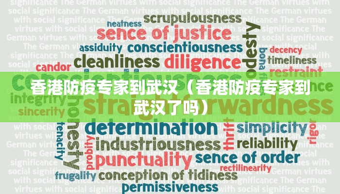 香港防疫专家到武汉（香港防疫专家到武汉了吗）