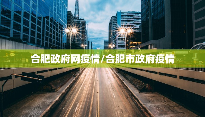 合肥政府网疫情/合肥市政府疫情