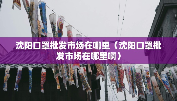 沈阳口罩批发市场在哪里（沈阳口罩批发市场在哪里啊）