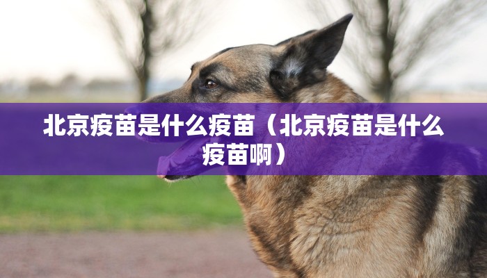 北京疫苗是什么疫苗（北京疫苗是什么疫苗啊）